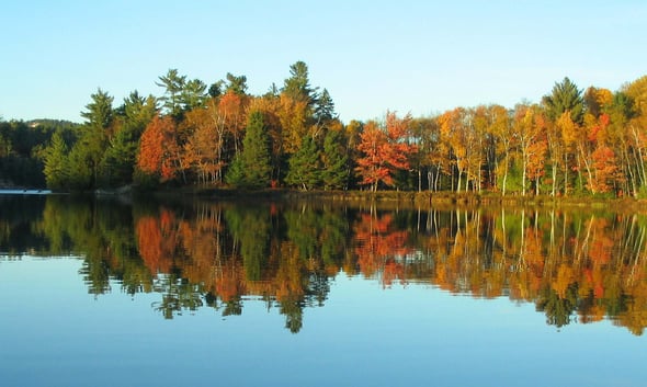Country Image 4