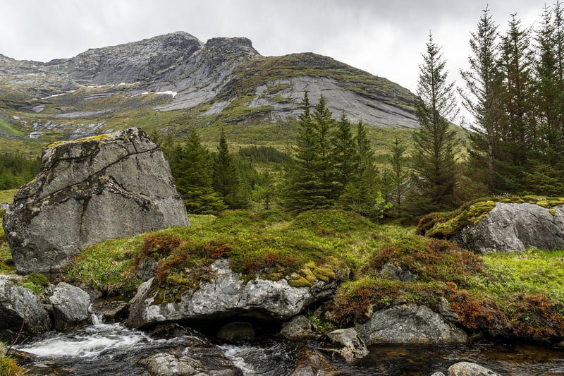 lofoten-4924939_1920