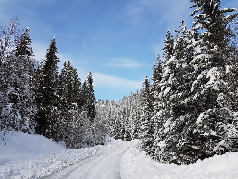 winter-2161438_1920